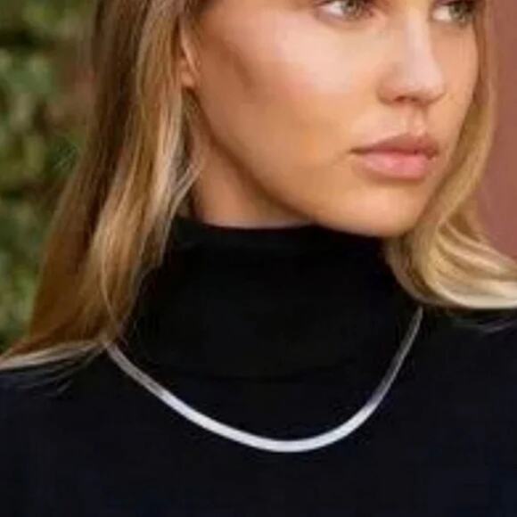 Jennifer Zeuner Jewelry Herringbone Necklace Silver IP Plating Brass Classic NEW - Picture 1 of 9